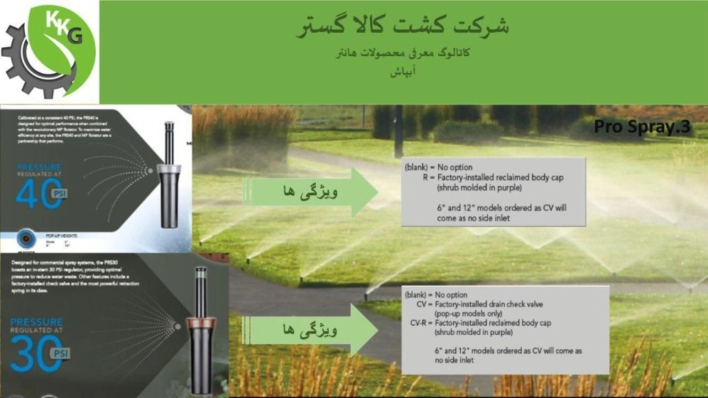 کاتالوگ مجموعه
