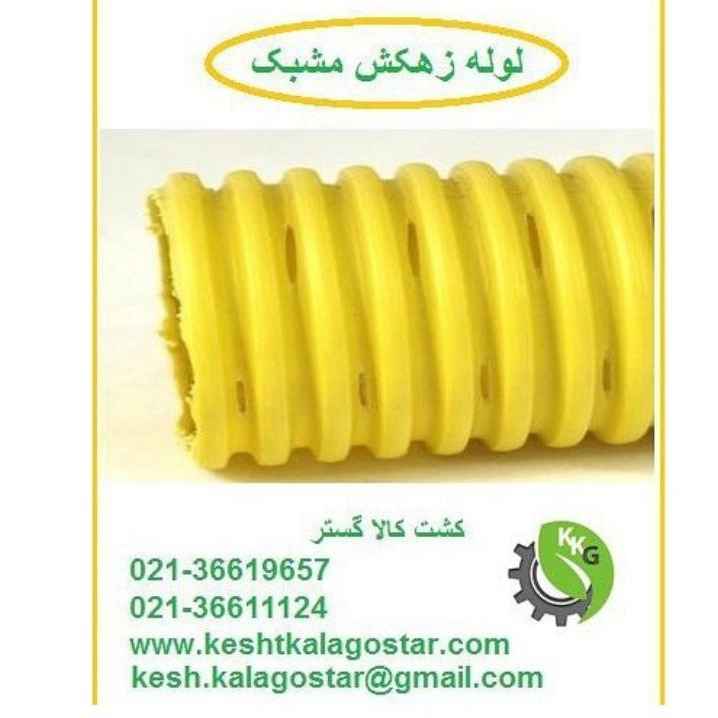 1735974326557.webp