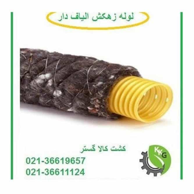 1735974411615.webp