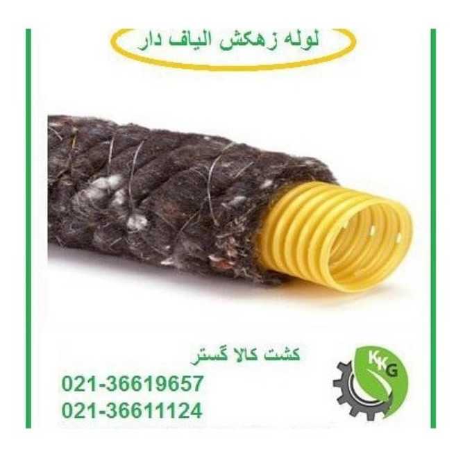 1735974411615.webp